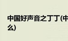中国好声音之丁丁(中国好声音丁丁原名叫什么)