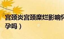 宫颈炎宫颈糜烂影响怀孕吗（宫颈糜烂影响怀孕吗）