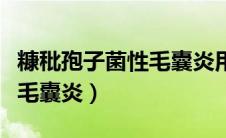 糠秕孢子菌性毛囊炎用什么药（糠秕孢子菌性毛囊炎）