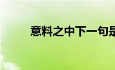 意料之中下一句是什么(意料之中)