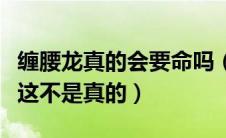 缠腰龙真的会要命吗（缠腰龙缠腰一圈会死人这不是真的）