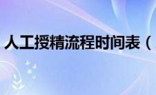 人工授精流程时间表（人工授精流程是什么）