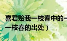 喜君贻我一枝春中的一枝春指的是（喜君贻我一枝春的出处）