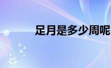 足月是多少周呢(足月是多少周)