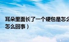 耳朵里面长了一个硬包是怎么回事（耳朵里面长了个硬包是怎么回事）