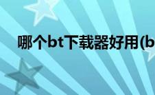 哪个bt下载器好用(bt下载软件哪个好用)