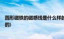 圆形磁铁的磁感线是什么样的?(圆形磁铁的磁感线是什么样的)