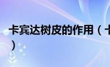 卡宾达树皮的作用（卡宾达树皮的作用有哪些）