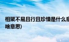 相聚不易且行且珍惜是什么意思(聚散终有时 且行且珍惜 是啥意思)