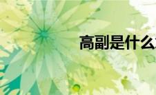 高副是什么意思(高副)
