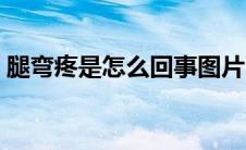 腿弯疼是怎么回事图片（腿弯疼是怎么回事）