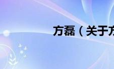 方磊（关于方磊的介绍）