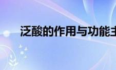 泛酸的作用与功能主治（泛酸的作用）