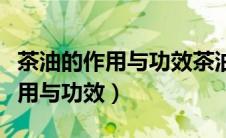 茶油的作用与功效茶油能治鼻炎吗（茶油的作用与功效）