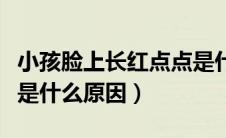 小孩脸上长红点点是什么（小孩脸上长红点点是什么原因）