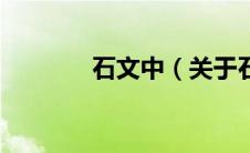 石文中（关于石文中的介绍）