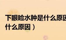 下眼睑水肿是什么原因引起的（下眼睑水肿是什么原因）
