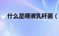 什么是唾液乳杆菌（什么是唾液腺疾病）