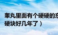 睾丸里面有个硬硬的东西有几年了（睾丸上有硬块好几年了）