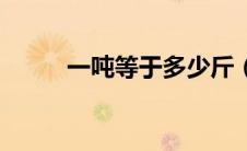 一吨等于多少斤（一吨是多少斤）