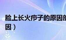 脸上长火疖子的原因部位（脸上长火疖子的原因）