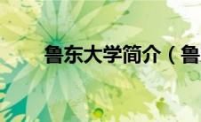 鲁东大学简介（鲁东大学简单介绍）