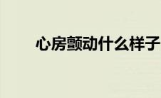 心房颤动什么样子（心房颤动介绍）