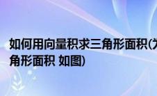 如何用向量积求三角形面积(为什么可以用向量积直接求出三角形面积 如图)