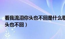 看我流泪你头也不回是什么歌名（哪首歌有歌词看我流泪你头也不回）