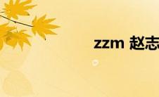 zzm 赵志铭(zzm)