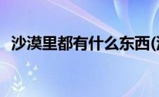 沙漠里都有什么东西(沙漠中最可爱的东西)