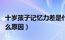 十岁孩子记忆力差是什么原因（记忆力差是什么原因）
