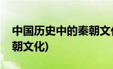 中国历史中的秦朝文化特点(中国历史中的秦朝文化)
