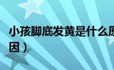 小孩脚底发黄是什么原因（脚底发黄是什么原因）