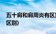 五十肩和肩周炎有区别吗(五十肩和肩周炎的区别)