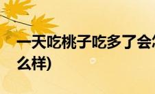 一天吃桃子吃多了会怎么样(桃子吃多了会怎么样)