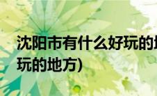 沈阳市有什么好玩的地方吗(沈阳市有什么好玩的地方)