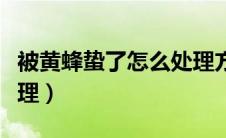 被黄蜂蛰了怎么处理方法（被黄蜂蛰了怎么处理）