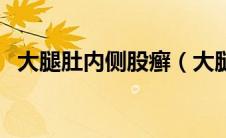 大腿肚内侧股癣（大腿肚内侧股癣怎么治）