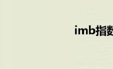 imb指数(imb)