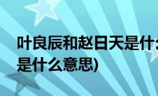 叶良辰和赵日天是什么小说(叶良辰和赵日天是什么意思)