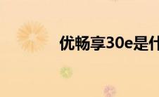 优畅享30e是什么牌子(优畅)