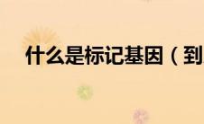 什么是标记基因（到底什么是标记基因）