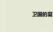 卫国的夏天(卫国)