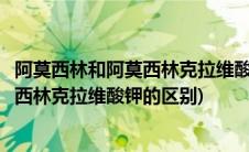 阿莫西林和阿莫西林克拉维酸钾可以同服吗(阿莫西林和阿莫西林克拉维酸钾的区别)