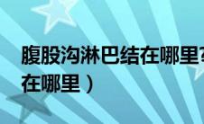 腹股沟淋巴结在哪里?（腹股沟淋巴结的位置在哪里）