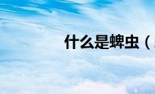 什么是蜱虫（蜱虫是什么）