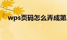 wps页码怎么弄成第几页(共几页)的样式