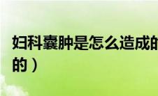 妇科囊肿是怎么造成的（妇科囊肿是怎么造成的）