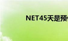 NET45天是预付吗(net 4 5)